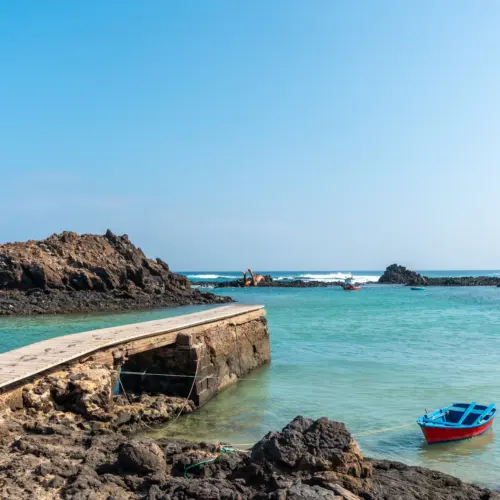 iStock-1344717933lobos puertito_result